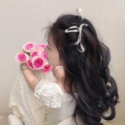 记住我青蜥魔